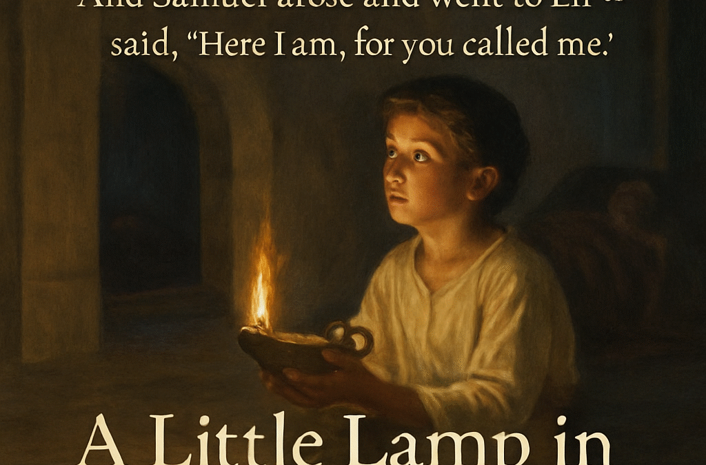 Little Lamps in a Dark World