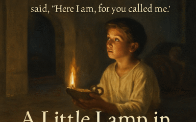 Little Lamps in a Dark World